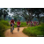 Team 47 / Raid Amazones Sri Lanka 2022 - J3 Run & Bike