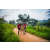 Team 47 / Raid Amazones Sri Lanka 2022 - J3 Run & Bike