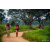 Team 75 / Raid Amazones Sri Lanka 2022 - J3 Run & Bike