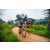 Team 75 / Raid Amazones Sri Lanka 2022 - J3 Run & Bike