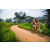 Team 76 / Raid Amazones Sri Lanka 2022 - J3 Run & Bike