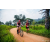 Team 19 / Raid Amazones Sri Lanka 2022 - J3 Run & Bike