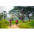 Team 25 / Raid Amazones Sri Lanka 2022 - J3 Run & Bike