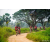Team 85 / Raid Amazones Sri Lanka 2022 - J3 Run & Bike