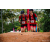 Team 34 / Raid Amazones Sri Lanka 2022 - J3 Run & Bike