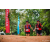 Team 92 / Raid Amazones Sri Lanka 2022 - J3 Run & Bike