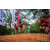 Team 79 / Raid Amazones Sri Lanka 2022 - J3 Run & Bike