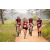 Team 44 / Raid Amazones Sri Lanka 2022 - J3 Run & Bike