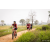 Team 26 / Raid Amazones Sri Lanka 2022 - J3 Run & Bike