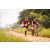Team 19 / Raid Amazones Sri Lanka 2022 - J3 Run & Bike