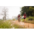 Team 70 / Raid Amazones Sri Lanka 2022 - J3 Run & Bike