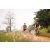 Team 338 / Raid Amazones Sri Lanka 2022 - J3 Run & Bike