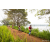 Team 312 / Raid Amazones Sri Lanka 2022 - J3 Run & Bike