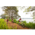 Team 335 / Raid Amazones Sri Lanka 2022 - J3 Run & Bike