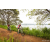 Team 306 / Raid Amazones Sri Lanka 2022 - J3 Run & Bike