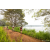 Team 339 / Raid Amazones Sri Lanka 2022 - J3 Run & Bike