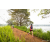 Team 308 / Raid Amazones Sri Lanka 2022 - J3 Run & Bike