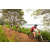 Team 319 / Raid Amazones Sri Lanka 2022 - J3 Run & Bike