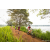 Team 311 / Raid Amazones Sri Lanka 2022 - J3 Run & Bike