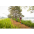 Team 336 / Raid Amazones Sri Lanka 2022 - J3 Run & Bike