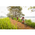 Team 75 / Raid Amazones Sri Lanka 2022 - J3 Run & Bike