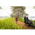 Team 32 / Raid Amazones Sri Lanka 2022 - J3 Run & Bike