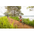 Team 32 / Raid Amazones Sri Lanka 2022 - J3 Run & Bike