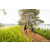Team 81 / Raid Amazones Sri Lanka 2022 - J3 Run & Bike