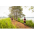 Team 10 / Raid Amazones Sri Lanka 2022 - J3 Run & Bike