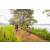 Team 10 / Raid Amazones Sri Lanka 2022 - J3 Run & Bike