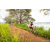 Team 81 / Raid Amazones Sri Lanka 2022 - J3 Run & Bike