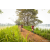 Team 09 / Raid Amazones Sri Lanka 2022 - J3 Run & Bike