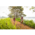 Team 18 / Raid Amazones Sri Lanka 2022 - J3 Run & Bike