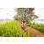 Team 91 / Raid Amazones Sri Lanka 2022 - J3 Run & Bike