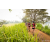 Team 60 / Raid Amazones Sri Lanka 2022 - J3 Run & Bike