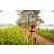 Team 55 / Raid Amazones Sri Lanka 2022 - J3 Run & Bike
