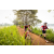 Team 55 / Raid Amazones Sri Lanka 2022 - J3 Run & Bike