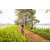 Team 20 / Raid Amazones Sri Lanka 2022 - J3 Run & Bike
