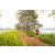 Team 92 / Raid Amazones Sri Lanka 2022 - J3 Run & Bike