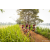 Team 27 / Raid Amazones Sri Lanka 2022 - J3 Run & Bike
