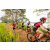 Team 27 / Raid Amazones Sri Lanka 2022 - J3 Run & Bike