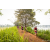 Team 83 / Raid Amazones Sri Lanka 2022 - J3 Run & Bike