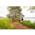 Team 07 / Raid Amazones Sri Lanka 2022 - J3 Run & Bike