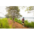 Team 04 / Raid Amazones Sri Lanka 2022 - J3 Run & Bike