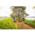 Team 61 / Raid Amazones Sri Lanka 2022 - J3 Run & Bike