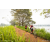 Team 69 / Raid Amazones Sri Lanka 2022 - J3 Run & Bike