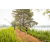 Team 35 / Raid Amazones Sri Lanka 2022 - J3 Run & Bike