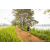 Team 13 / Raid Amazones Sri Lanka 2022 - J3 Run & Bike