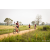 Team 318 / Raid Amazones Sri Lanka 2022 - J3 Run & Bike