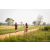 Team 318 / Raid Amazones Sri Lanka 2022 - J3 Run & Bike
